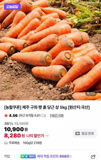 [네이버] 제주 구좌 햇 흙 당근 상 5kg