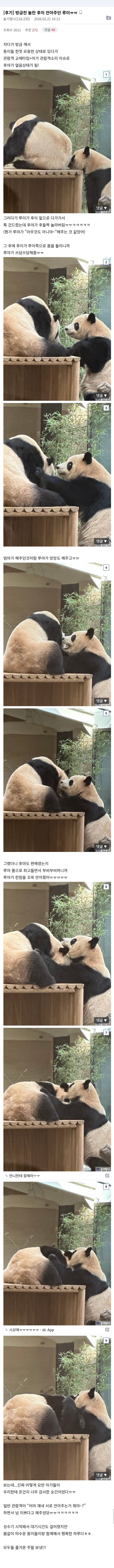어제 놀란 후이바오 안아주던 루이바오💜🩷