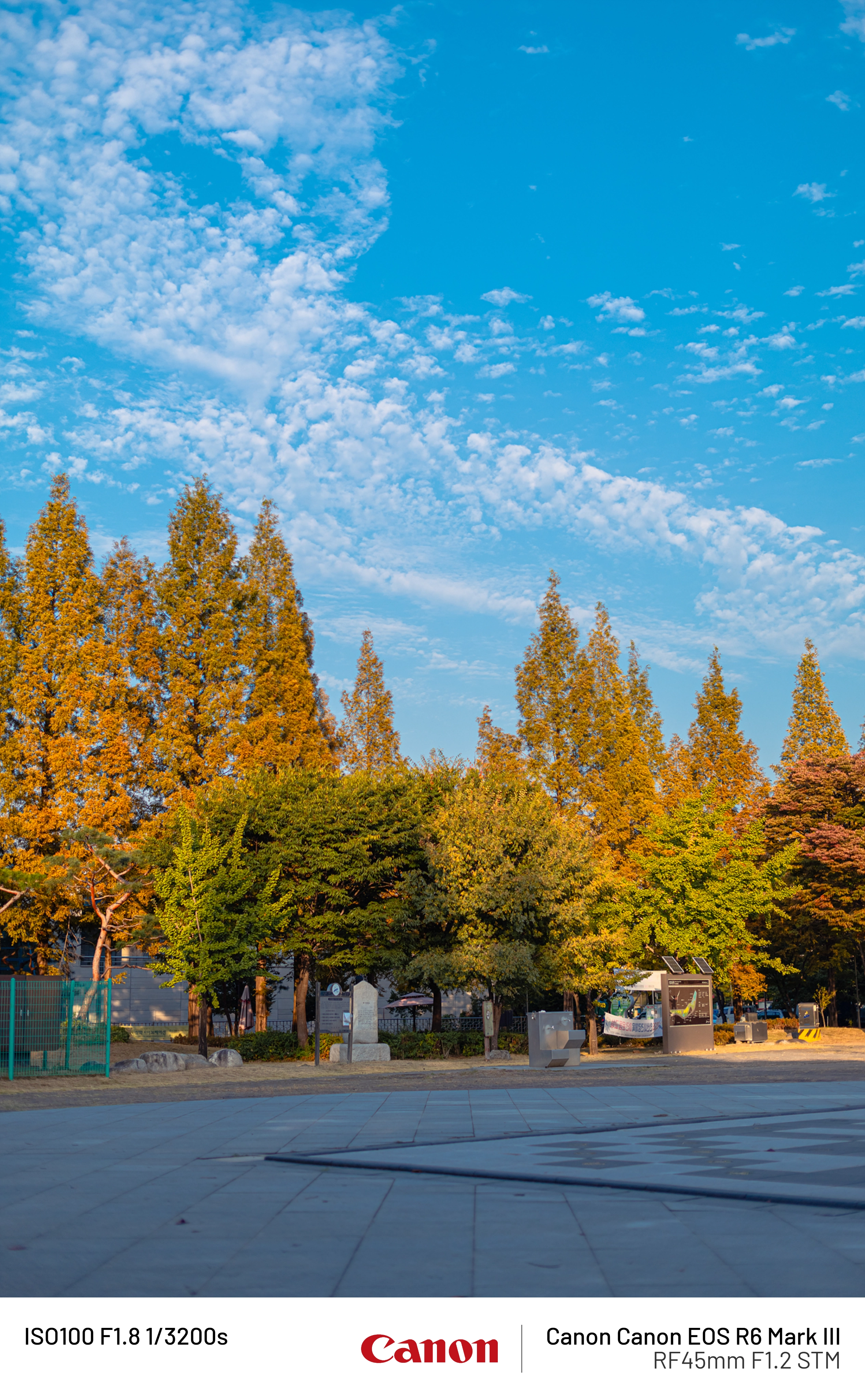 사오이 사진(30) (5)