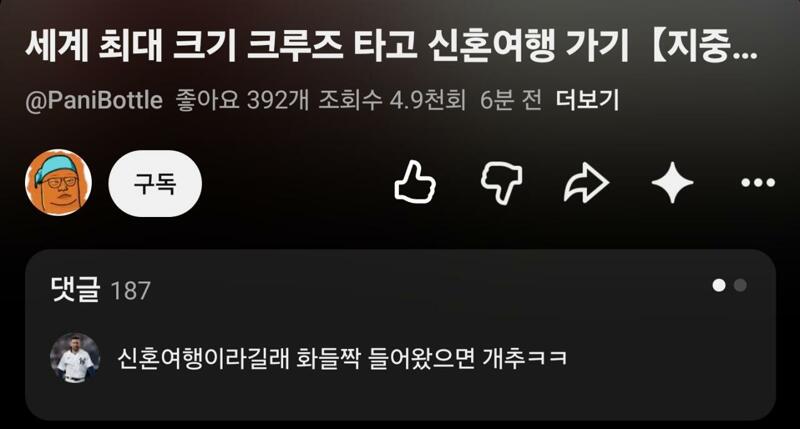 유튜바 빠니보틀, 여자친구랑 신혼여행 콘텐츠.