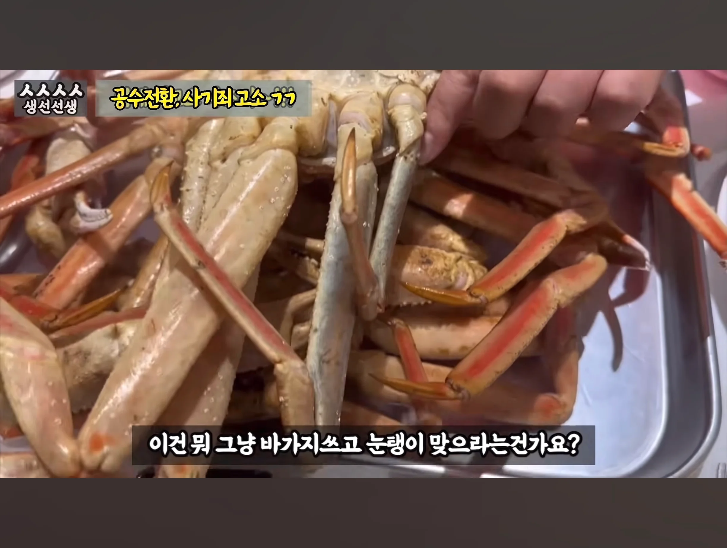 스압주의) 대게 구입 잘못했다가 미쳐버린 유튜버 (33)