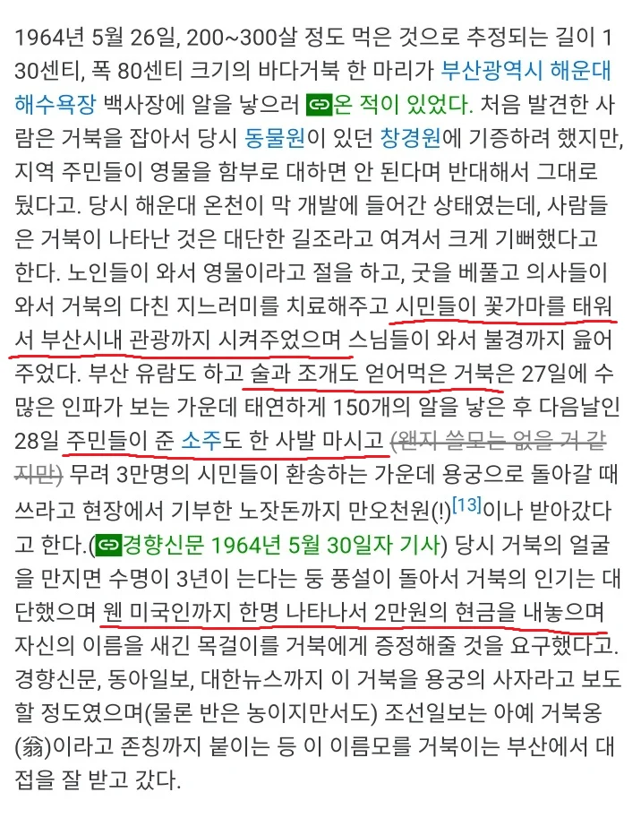 부캉이에 앞서서 먼저 부산에 와서 풀코스 즐기고 간 아이돌 (3)