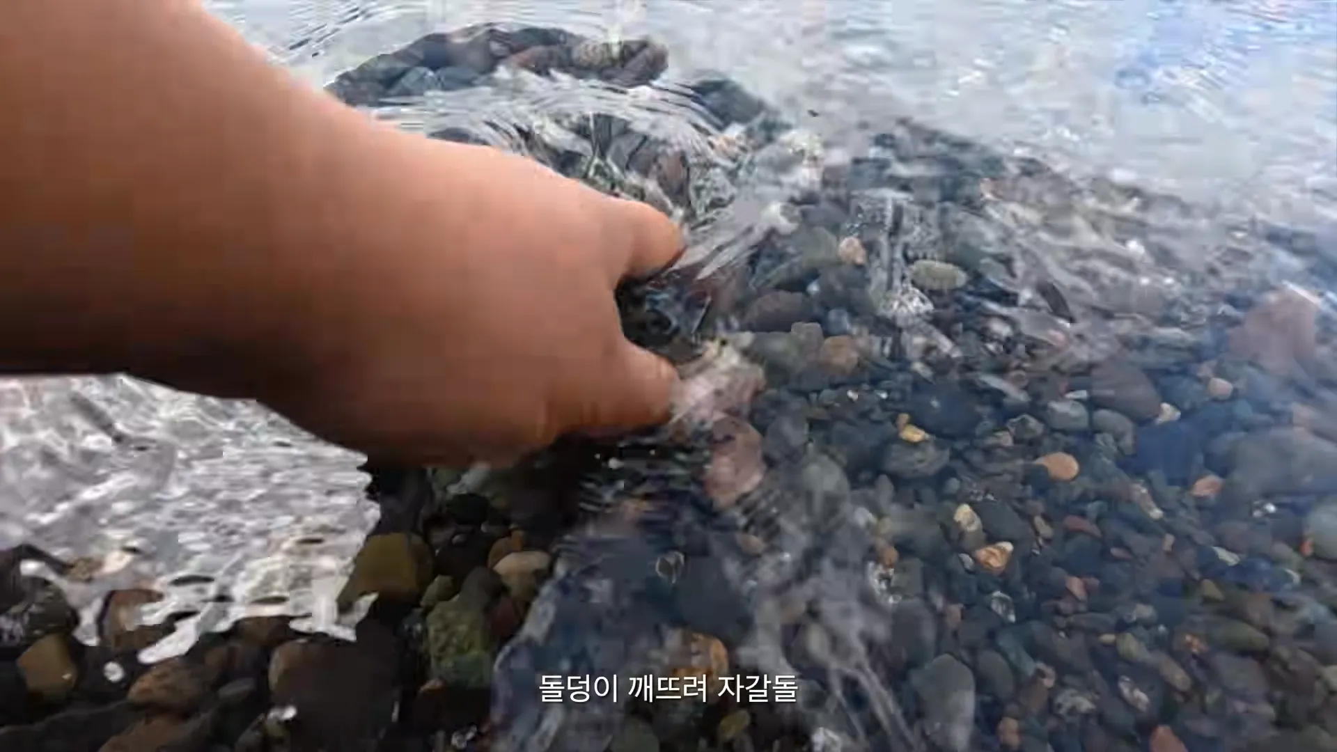 요즘 시대에 맞게 개사된 동요