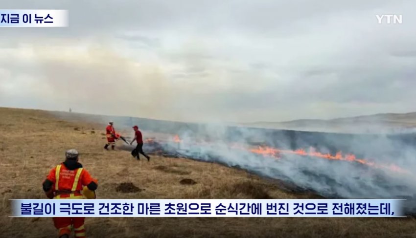 몽골 대초원에 '화르륵', 불법 낚시하려다 불낸 일본인들 (10)