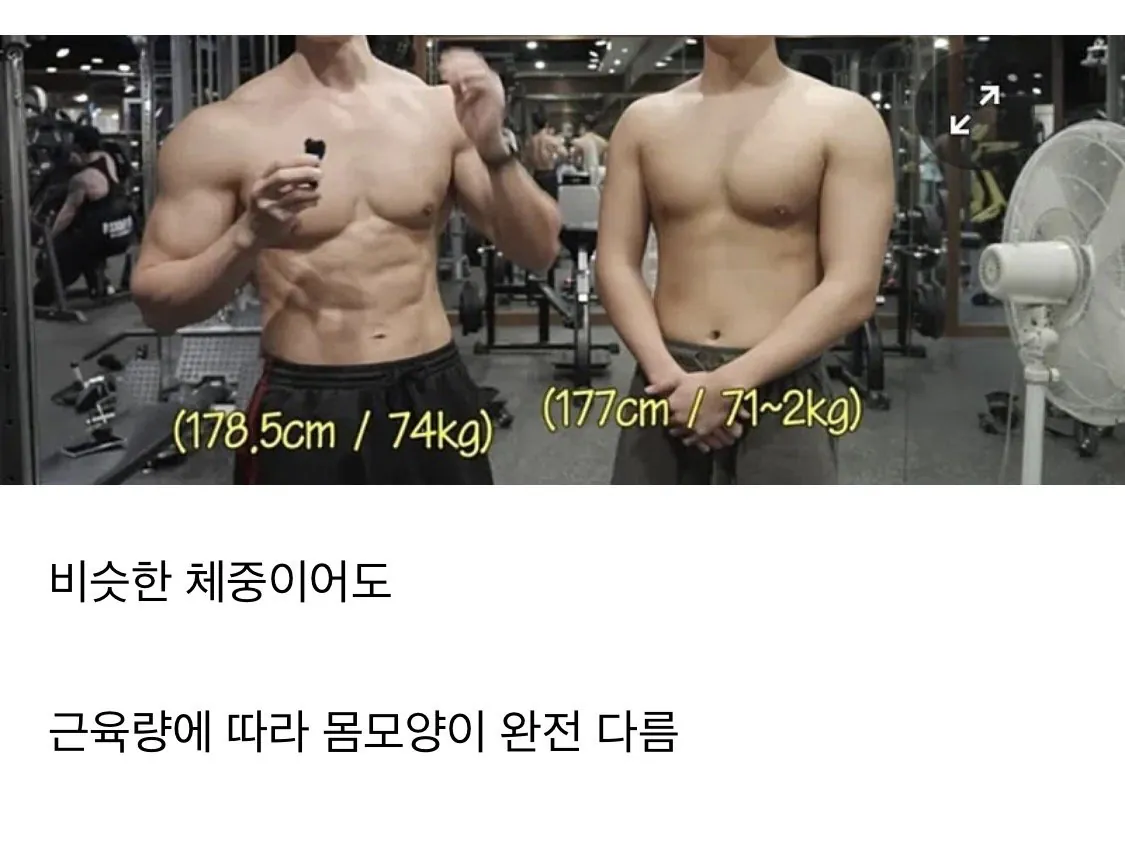 비슷한 체중, 다른 몸매