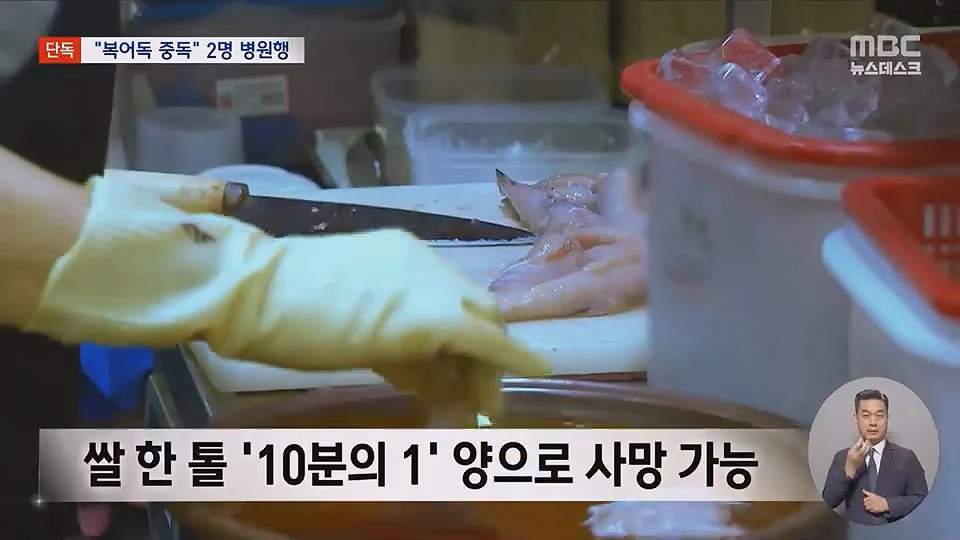 [단독] 소문 난 복국집서 '복어독' 중독‥병원행 식당측 "개인의 체질문제" (9)