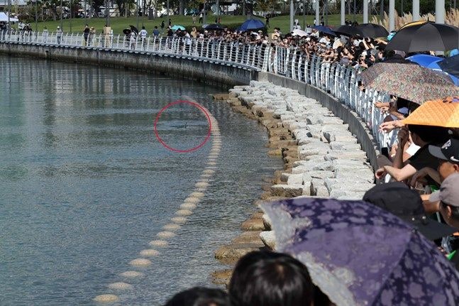 부산 상어 대항하는 1800억 여수 최종병기 등장. . (11)