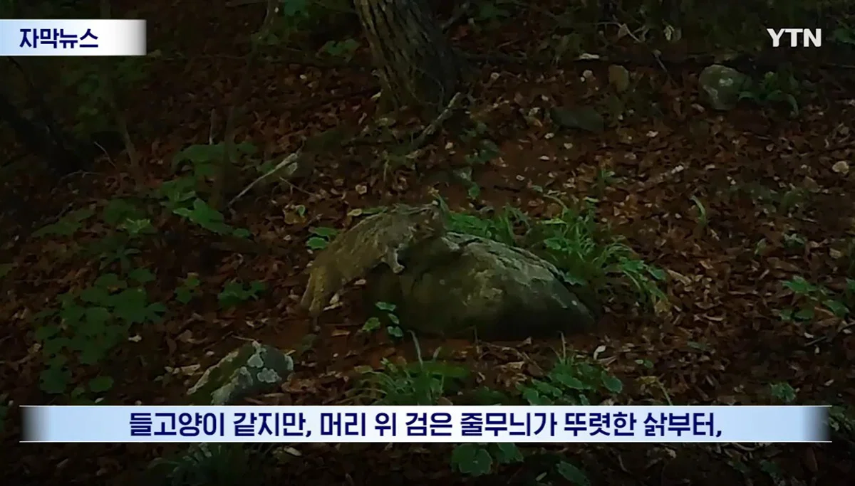 수십억 들여 숲 사놓고 아무것도 안한 이유 (2)