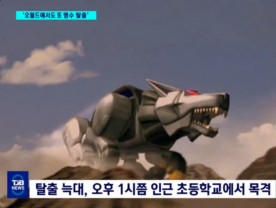 한국 동물 탈출 소동 (3)