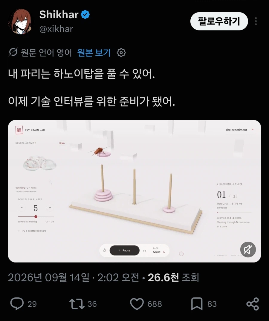 인간의 광기를 보여주는 초파리 뇌 신경망 활용 근황 (6)