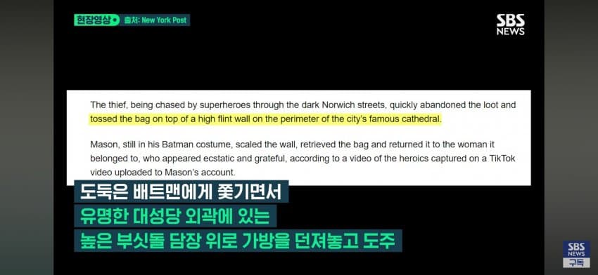 '배트맨이야' 진짜 '고담 시티' 개막? 날치기범 '혼비백산' (9)