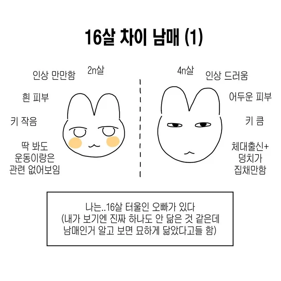 16살 차이 남매 만화.JPG