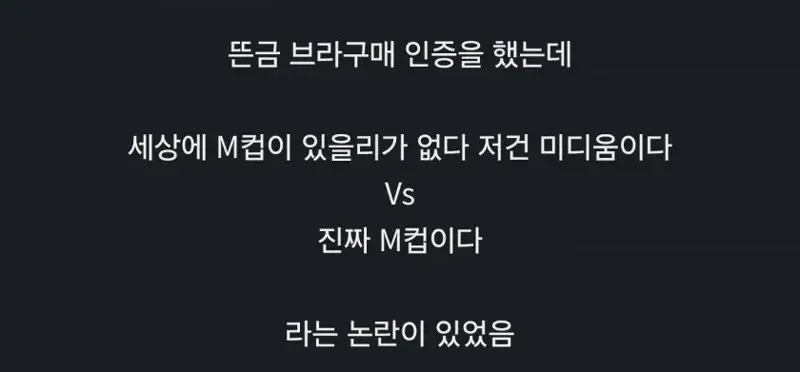 ㅇㅎ?) 본인 가슴 M컵 인증한 버튜버. (4)