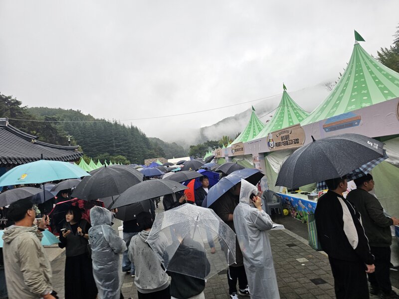 김밥축제 실시간 (3)