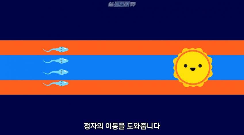 남자들은 잘 모르는 냉 이라는 것에 대하여 (30)