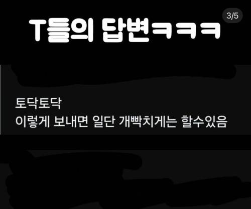 t들은 긁히는 말