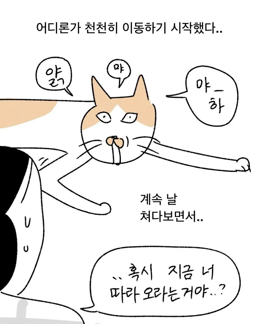 프로 츄르강탈 고양이