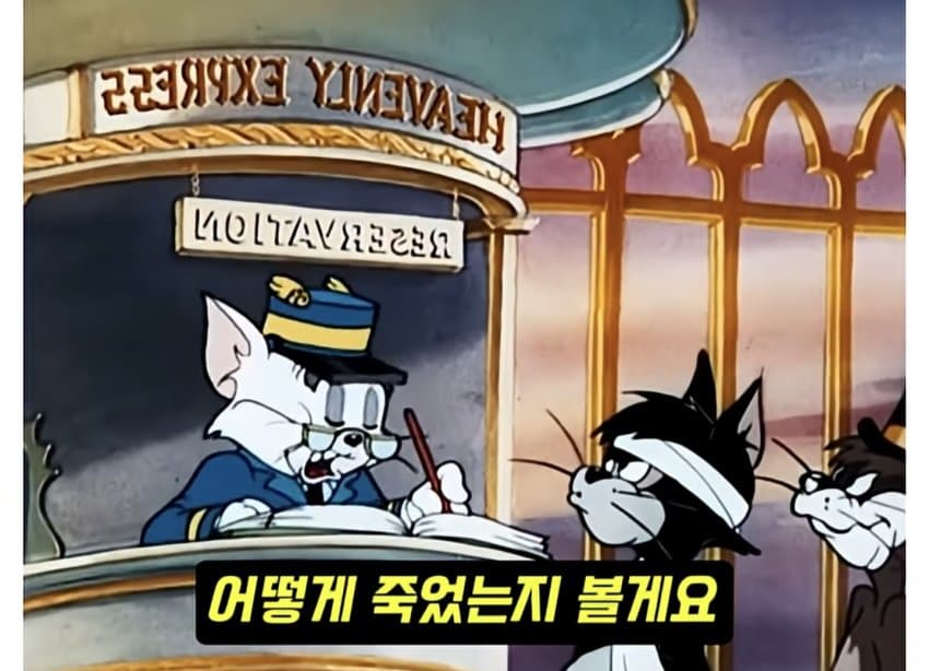훌쩍훌쩍 톰과 제리 전설적인 장면.. (7)
