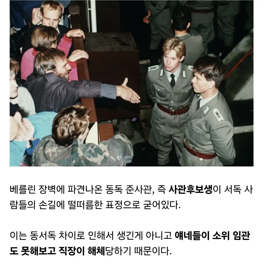 사관후보생 : 직장을 잃었어요 ㅠㅠ