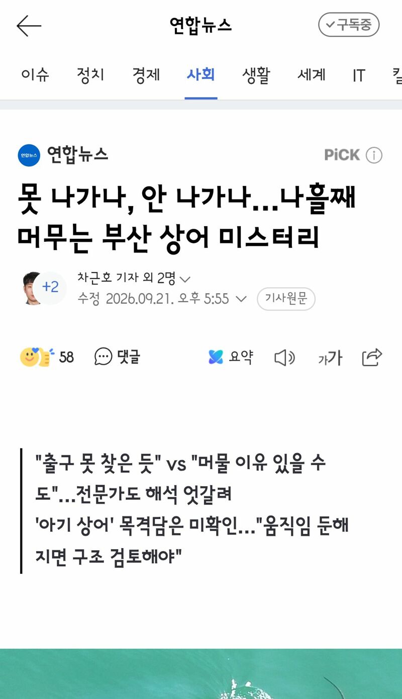 상어 부캉이 덕분에 함박웃음 짓는 죠스바 고래밥 핑크퐁 (3)