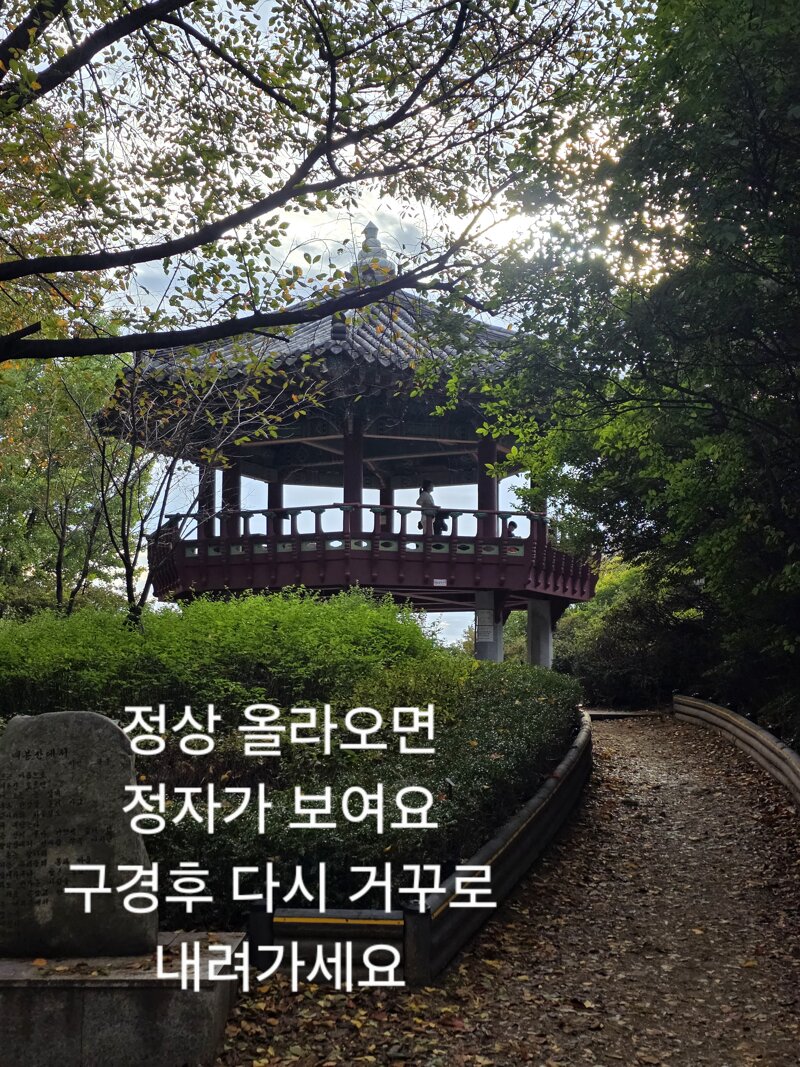 서울에서 남산타워,롯데타워를 볼수있는 공원 (16)