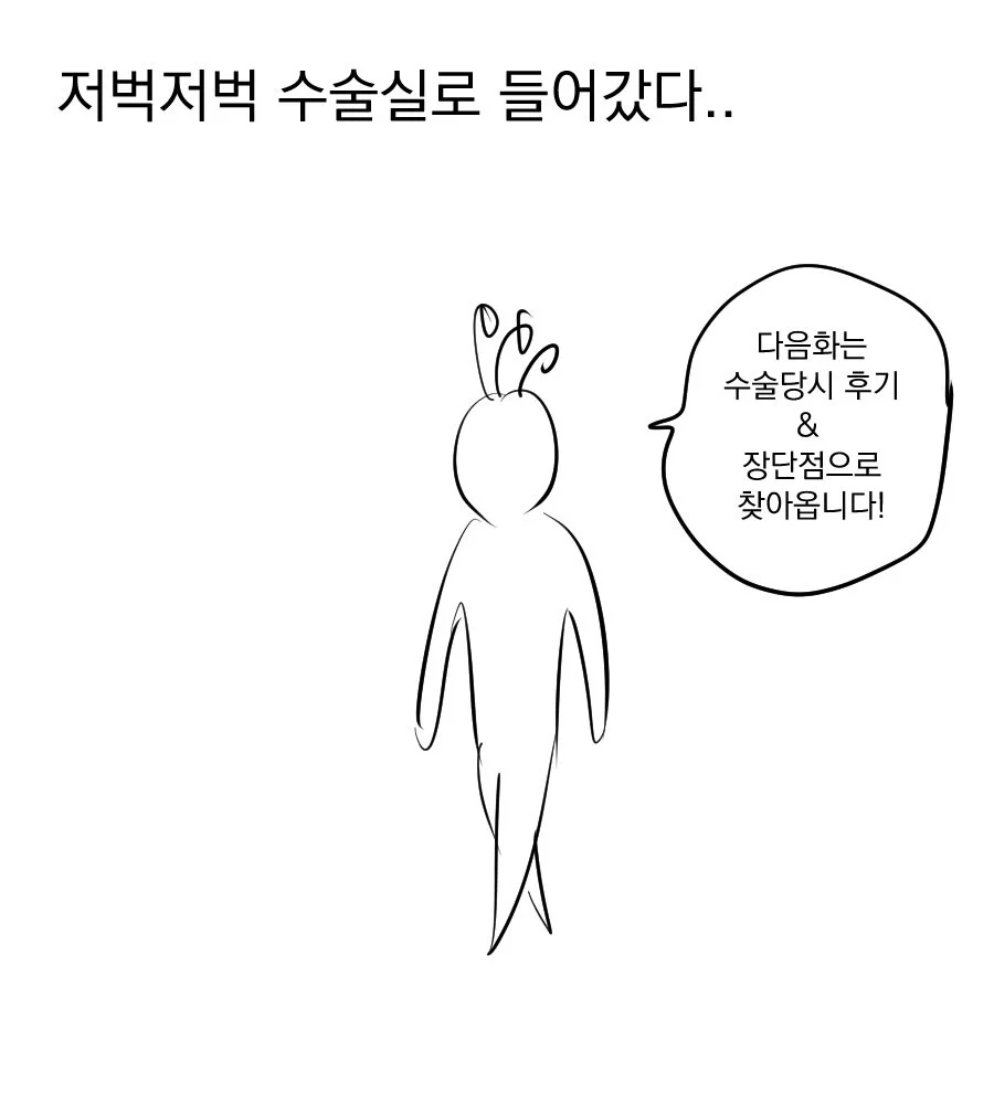 어느 웹툰 작가의 가슴 축소 수술 후기 만화 (19)