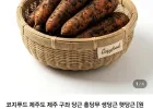 제주 햇당근 중 1kg