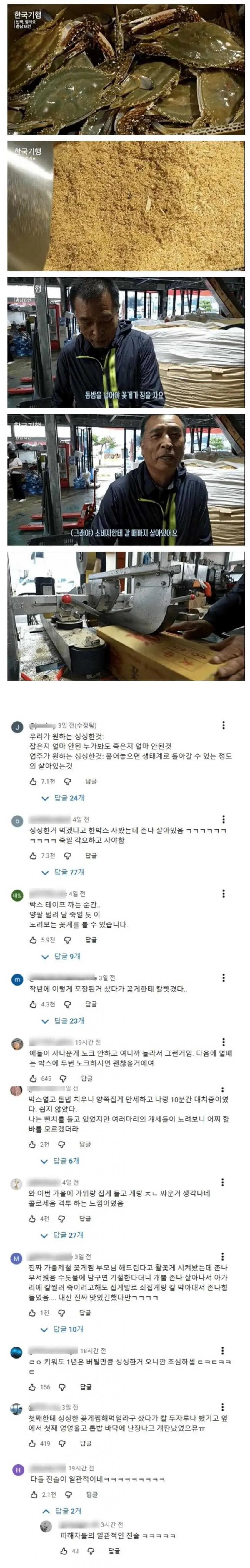 꽃게 위에 톱밥을 가득 얹는 이유 ㄷㄷ