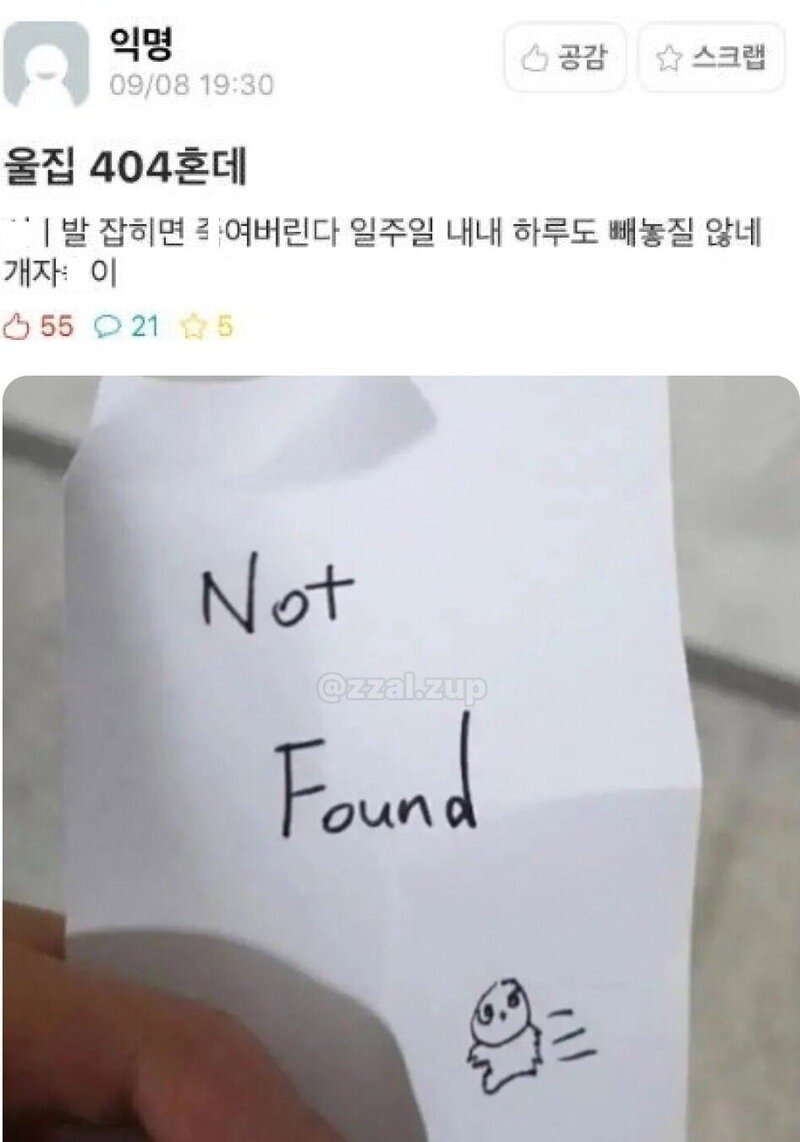 02.jpg