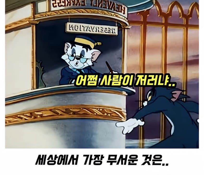 훌쩍훌쩍 톰과 제리 전설적인 장면.. (28)