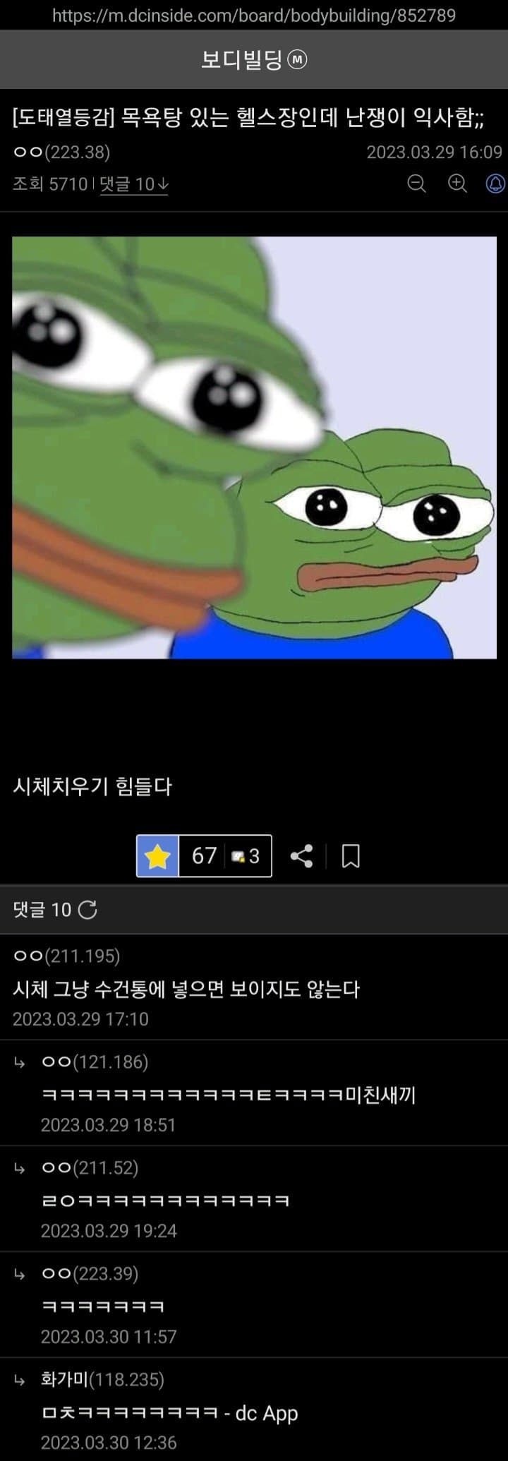 싱글벙글 보디빌딩갤 난쟁이 문학모음 (15)