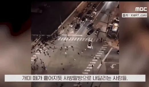 미국 LA에서 집단 약탈꾼들 검거하는 영상