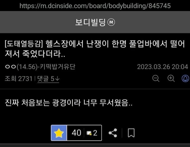 싱글벙글 보디빌딩갤 난쟁이 문학모음 (3)