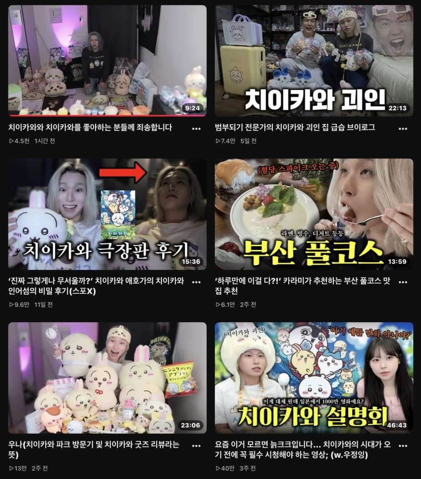 주둥이 치이카와 논란 결말 (2)