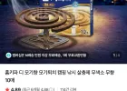 홈키파 모기향 1박스 10개입