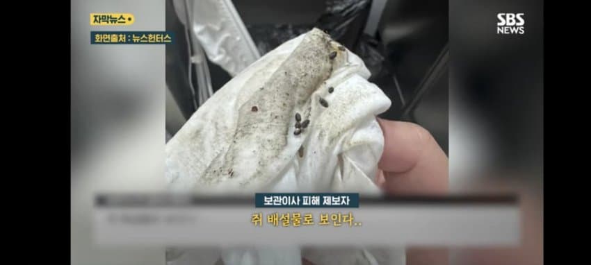 보관이사 맡겼다가 곰팡이, 벌레로 가구 다 망가진 제보자 (9)