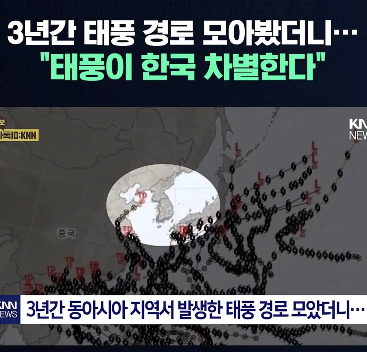 지금 한국에서 논란이 되고 있는 혐한 이슈
