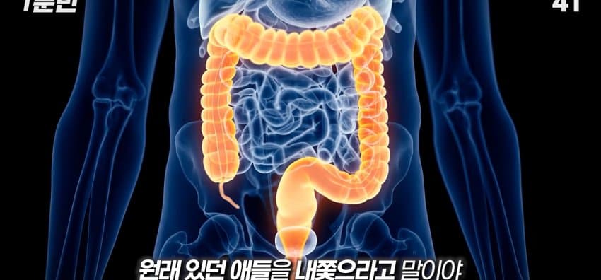 먹자마자 바로 화장실 가는 사람은 뭘까? (12)