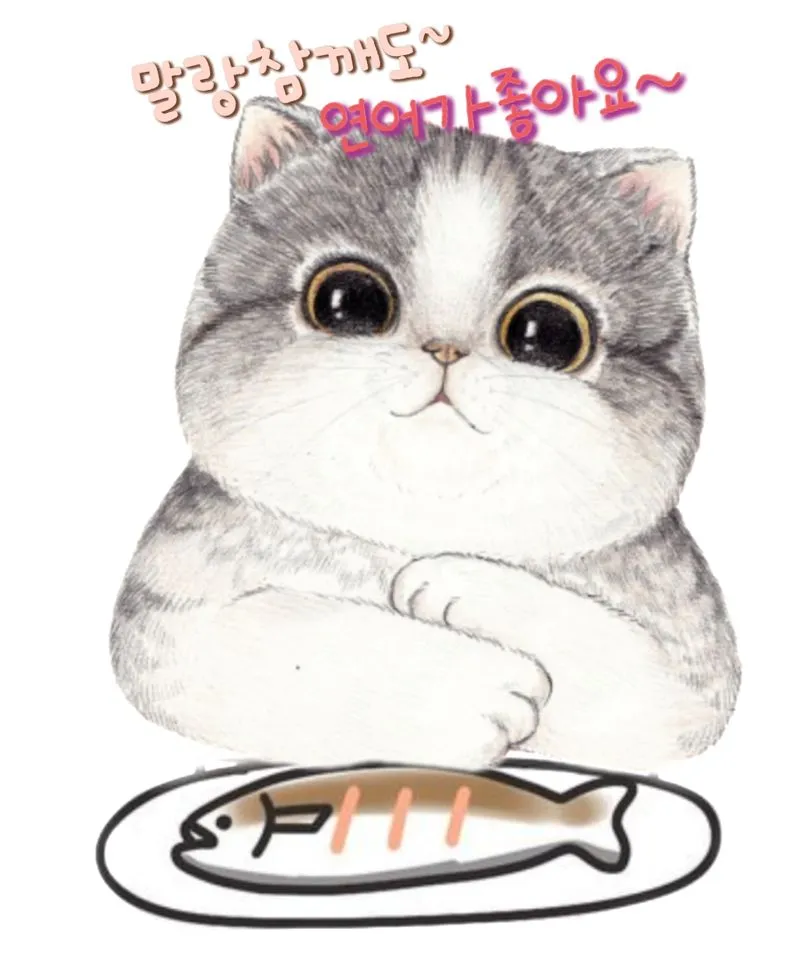 배짱장사로 유명한 홍대 오코노미야끼집 오늘 임자 만남