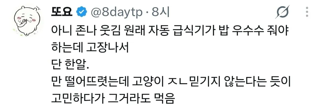 고장난 자동급식기를 바라보는 고양이