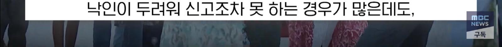 중국보다 가기싫은 나라 (29)