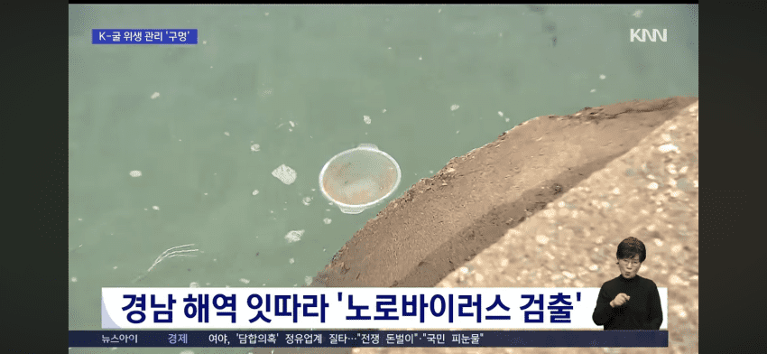 현재 논란이라는 경상남도 굴 상태 (3)
