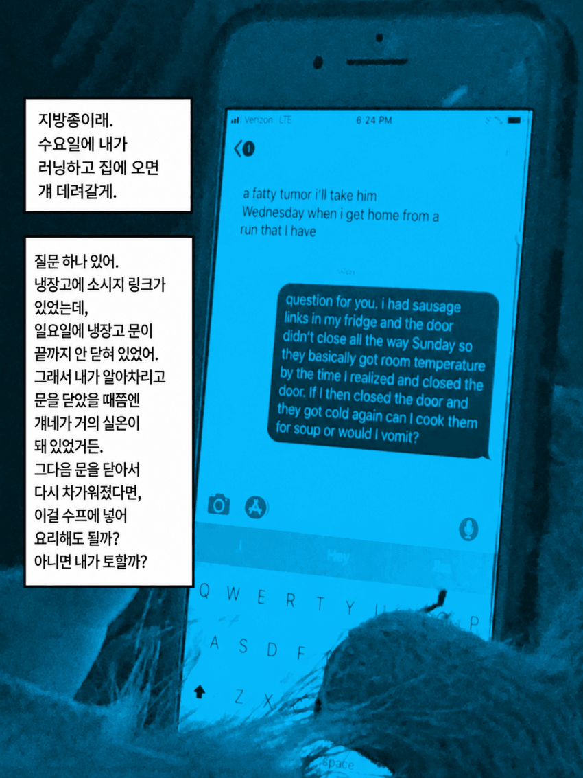 싱글벙글 뉴욕 거리 시민들 휴대폰 문자 도촬 프로젝트 공개됨 (18)