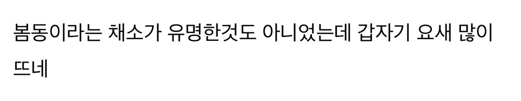 요즘 봄동 바이럴 너무 심한것 같지 않아?