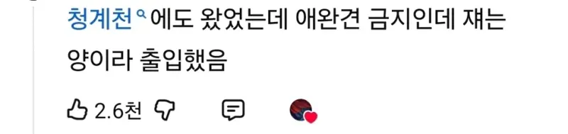 서울 도심에서 종종 보인다는 애완동물.. (2)