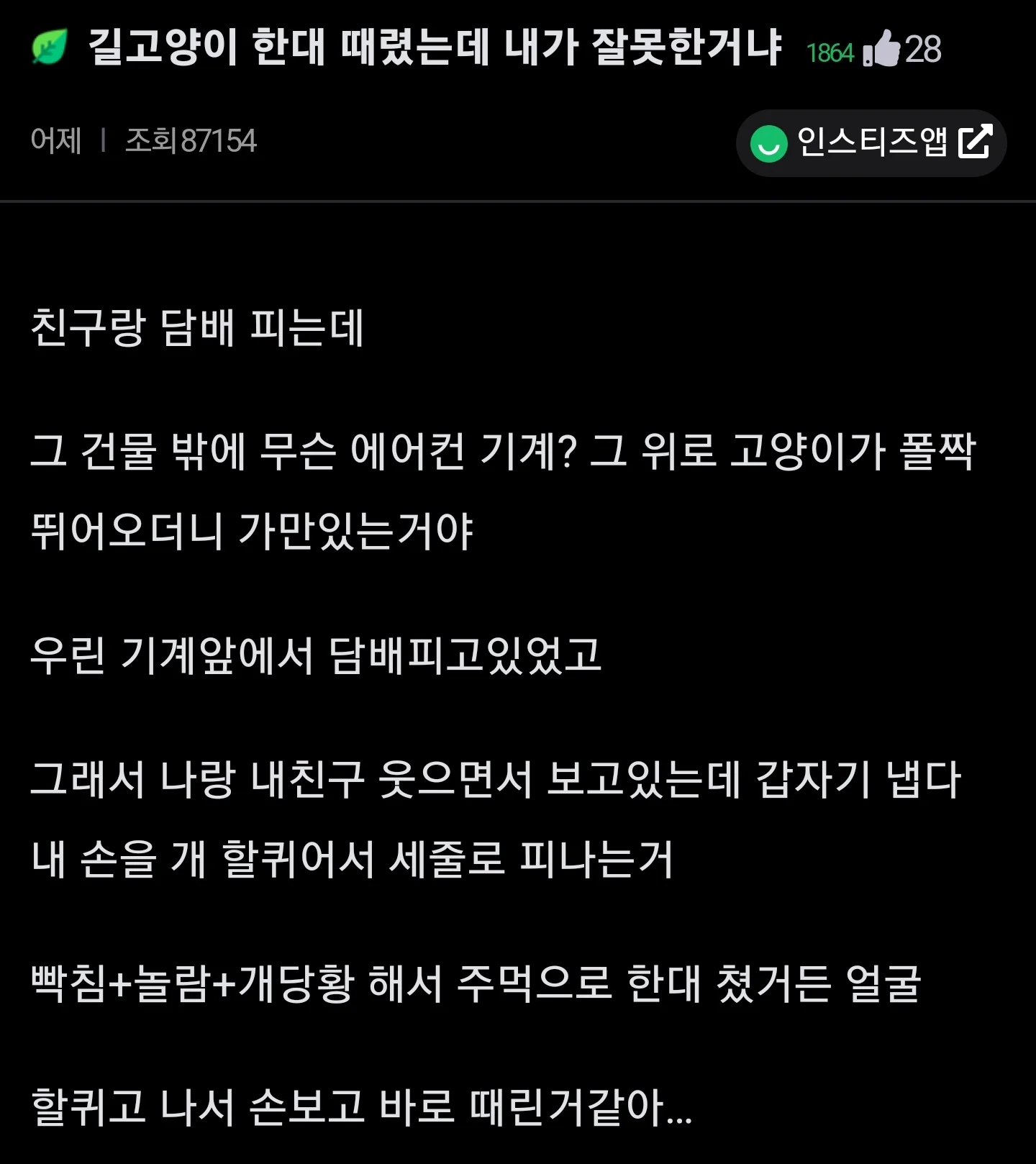 길냥이 선빵친거 주먹으로 때려도됨?