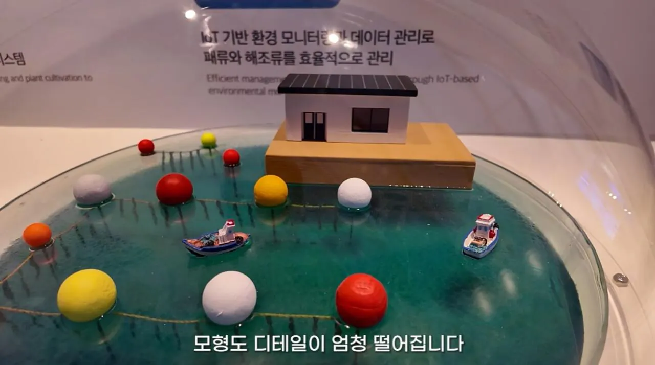여수국제 섬박람회에 갔다가 실망한 유튜버 (15)