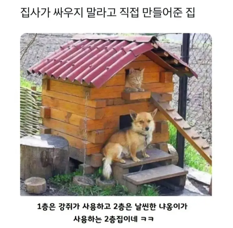 집사가 싸우지말라고 직접 만들어준 집