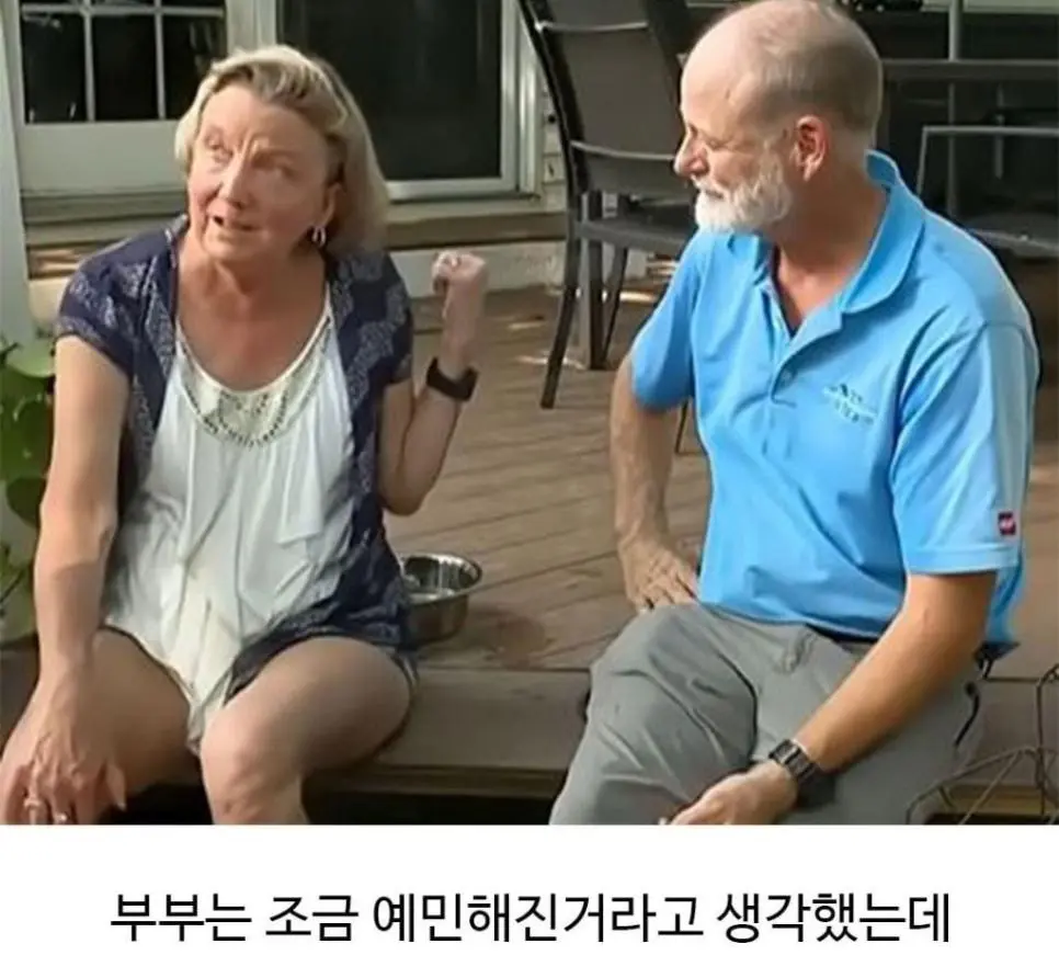 미용실 다녀온 후 표독해진 골댕이 (4)