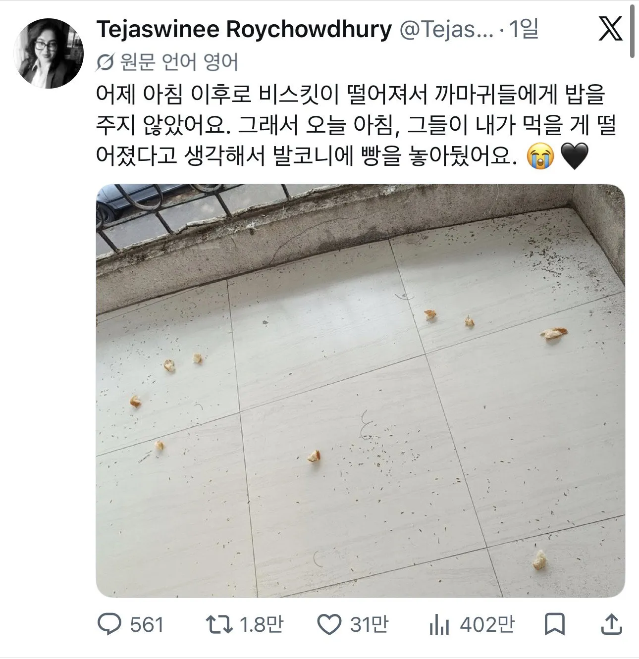 까마귀에게 밥을 주다 멈추면 생기는 일